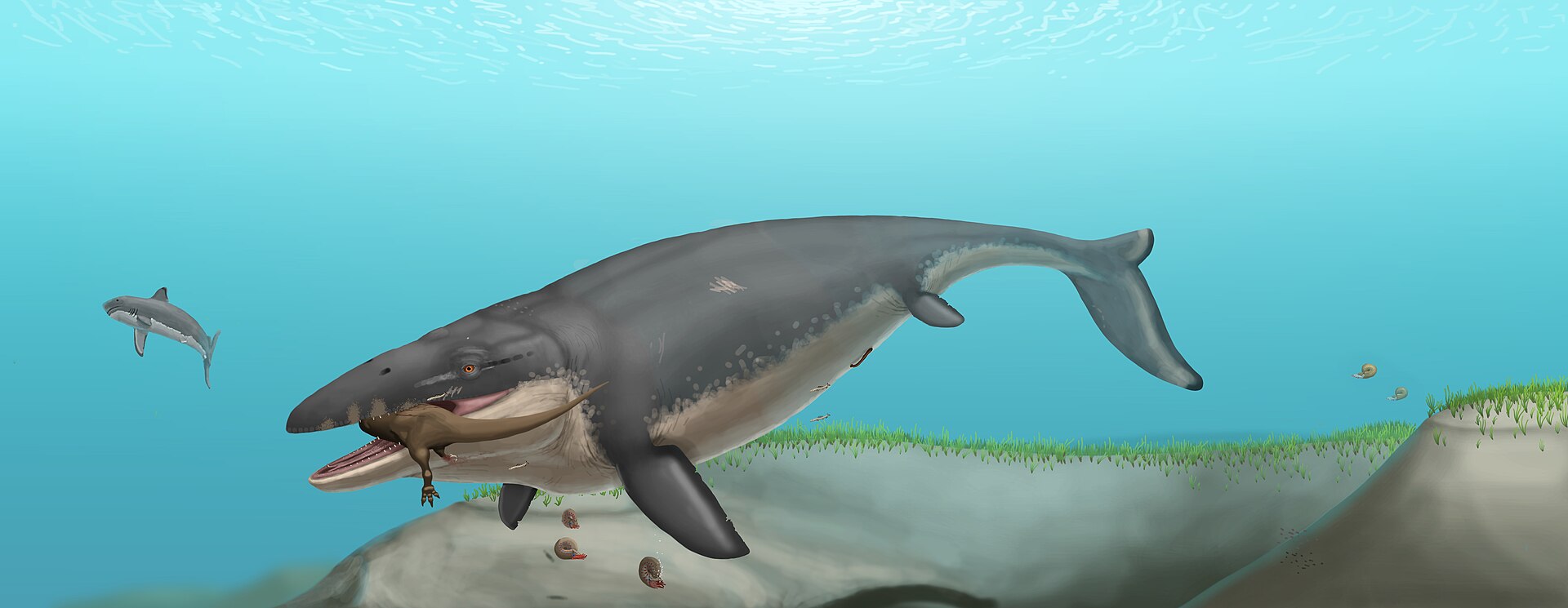 Mosasaurus hunting a sea turtle in a shallow Cretaceous sea