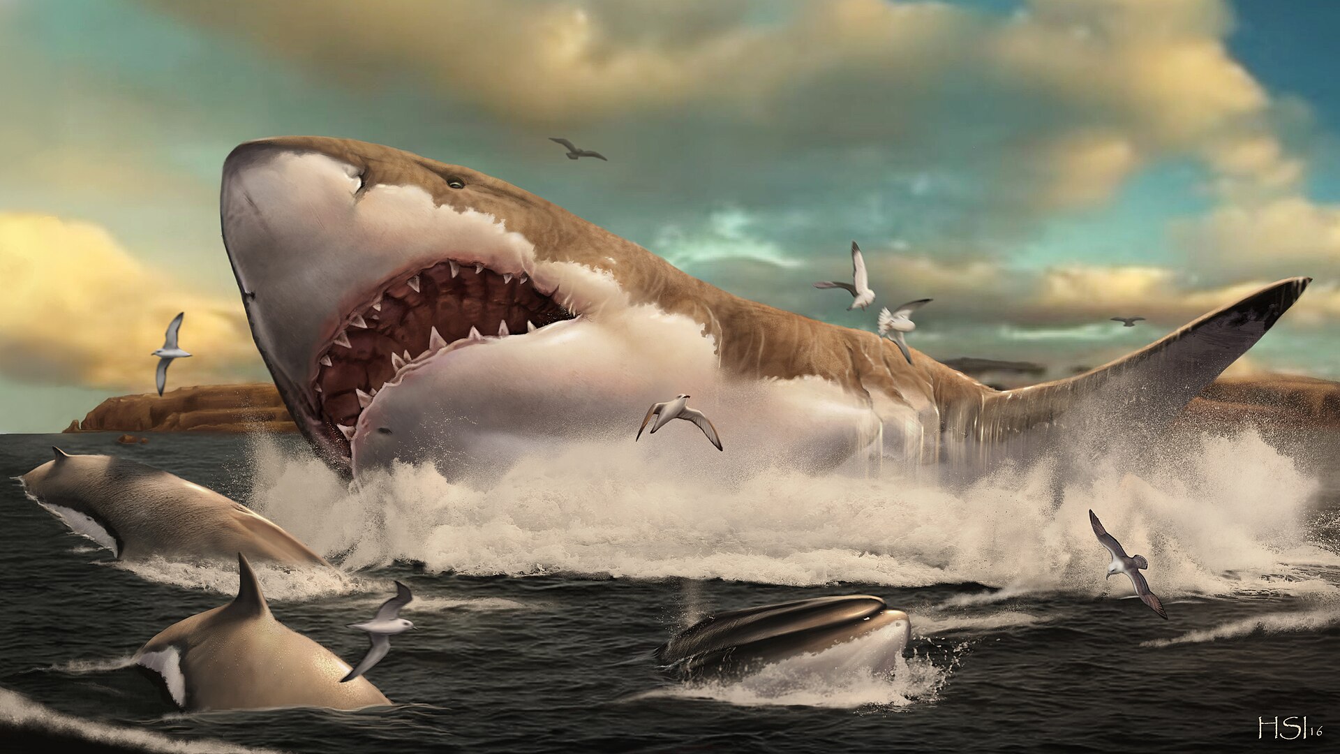 Life restoration of a Megalodon rising to the surface